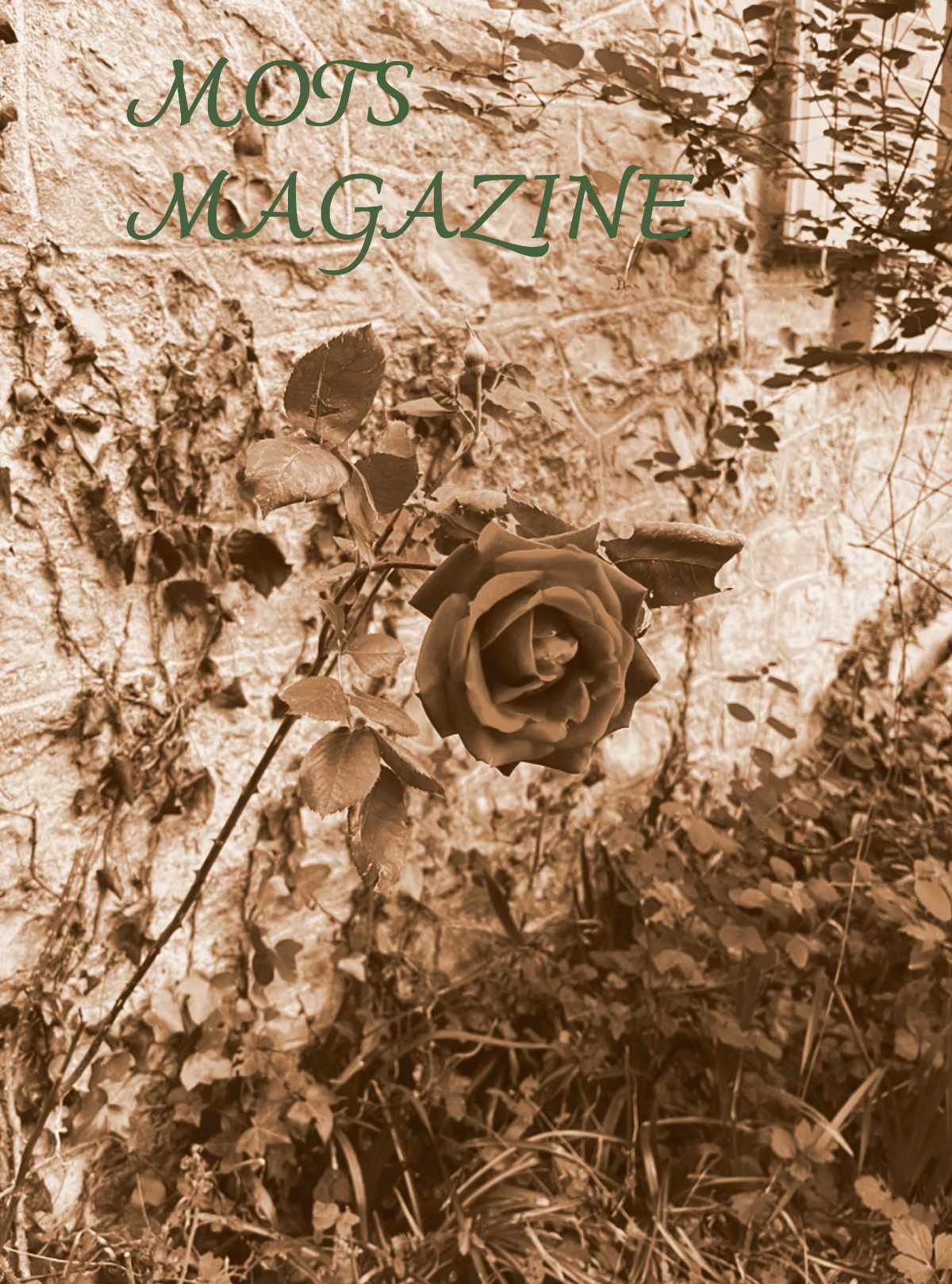 Mots Magazine