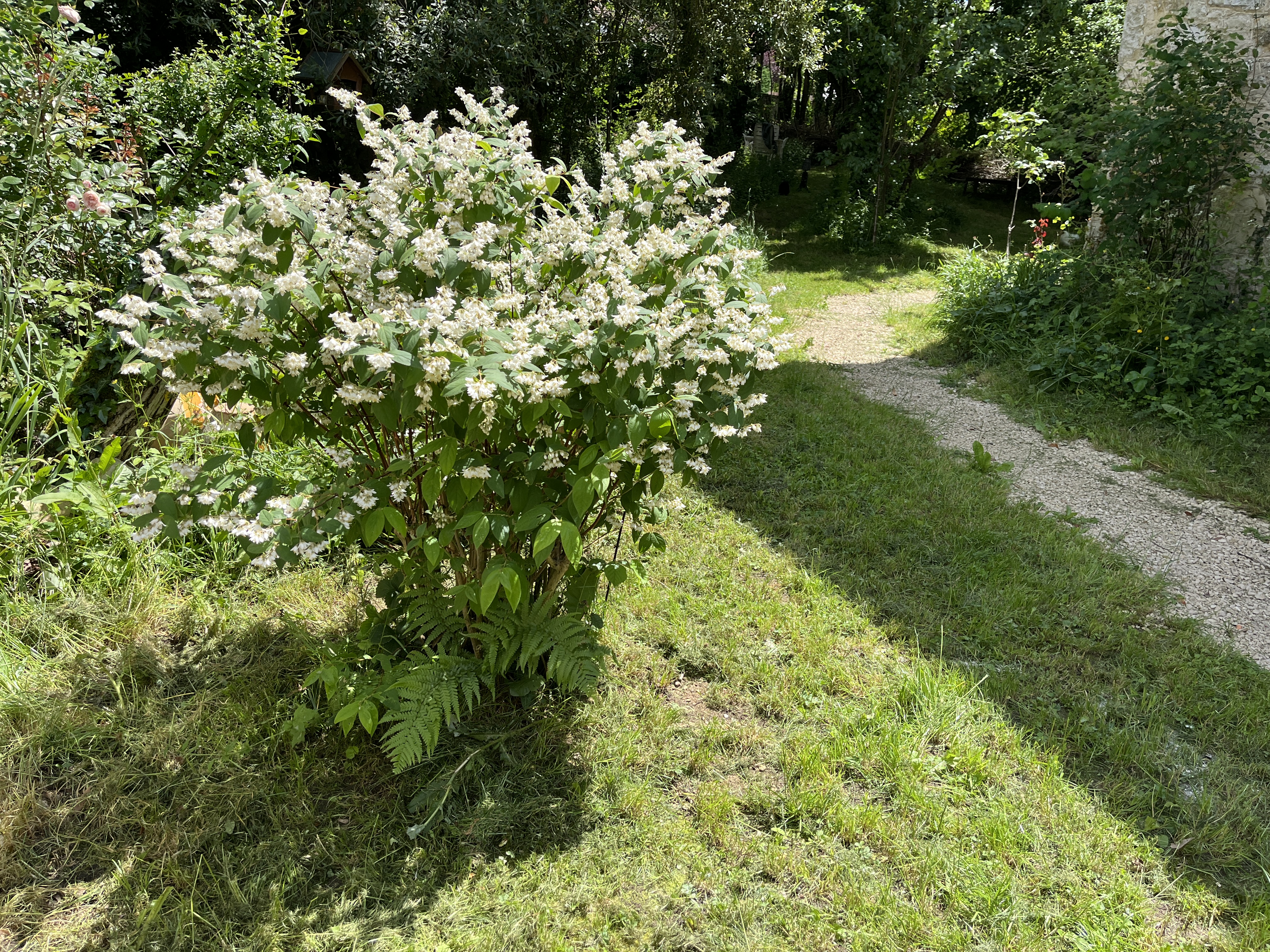 Stad & omgeving